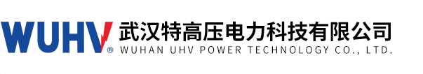 武漢特高壓電力科技有限公司